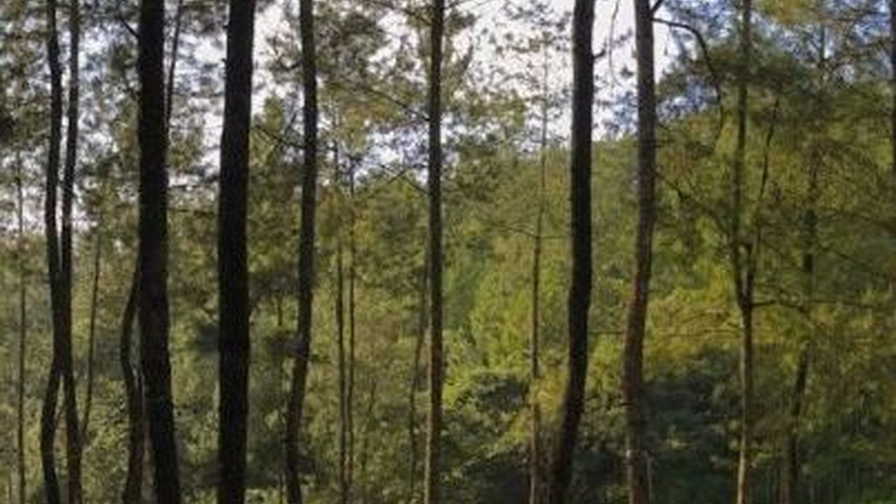 12 Destinasi Liburan Panjang di Malang dengan Budget Murah Tapi Healing Maksimal
