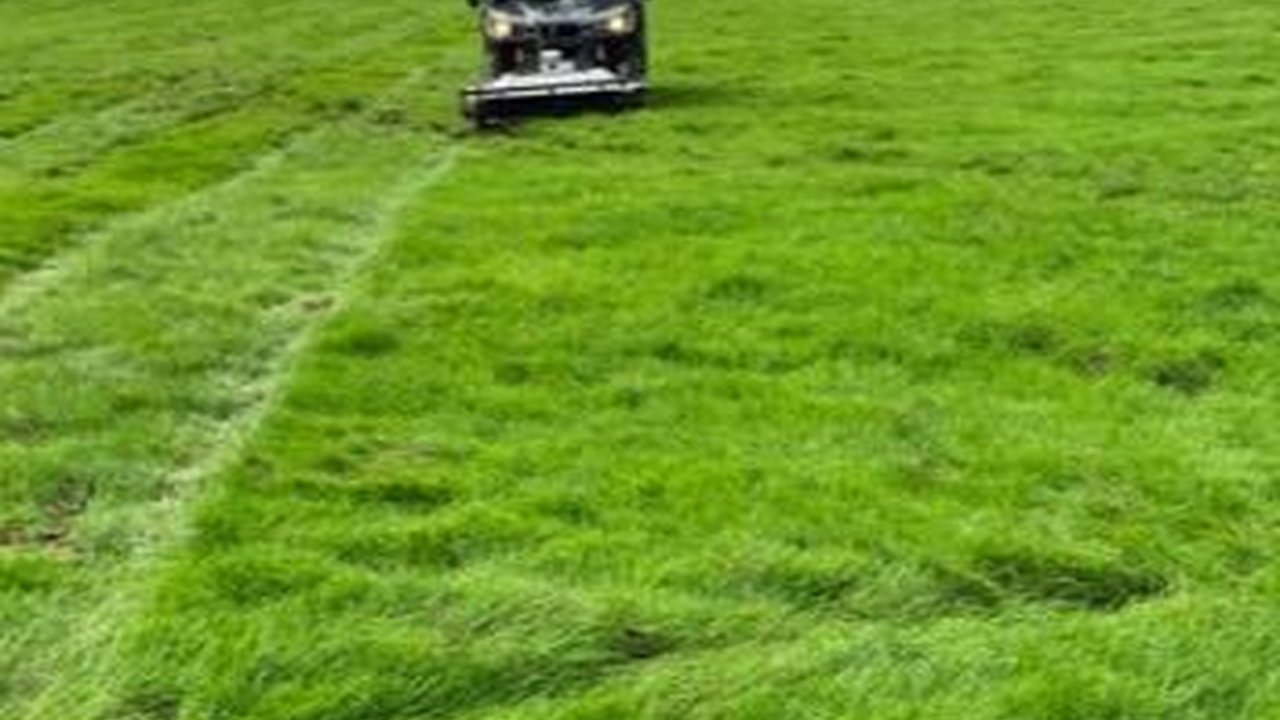 Arkeolog Deteksi Ada Permukiman Bangsa Viking Tersembunyi Selama 900 Tahun di Bawah Ladang