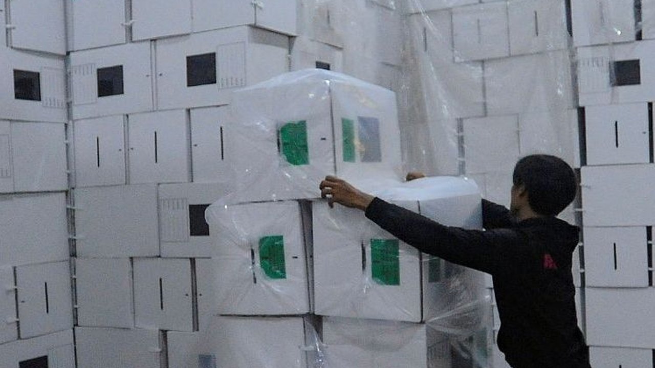 'Jangan Persatuan Dinodai karena Mendahulukan Kepentingan Politik'