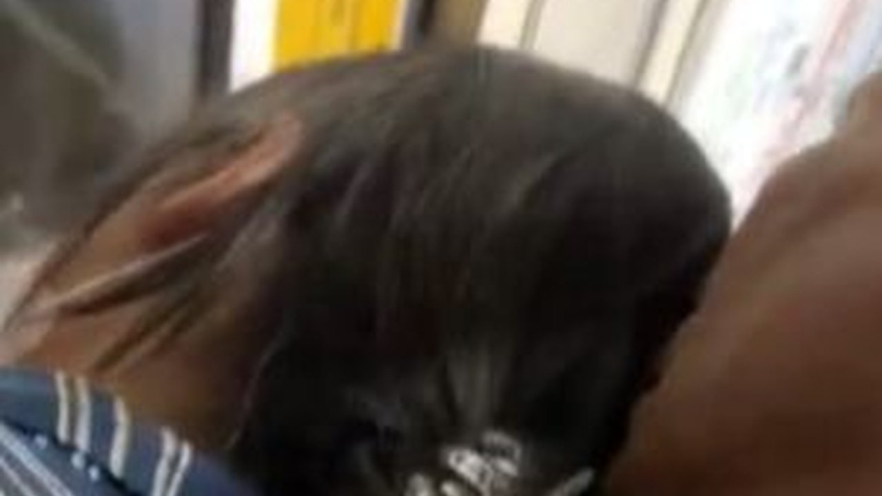 Tak Bisa Dibiarkan! Viral Pria Endus-Endus Kepala Perempuan di KRL, Perekam Video: CommuterLine Nggak Mau Nambah Gerbong Khusus Wanita?