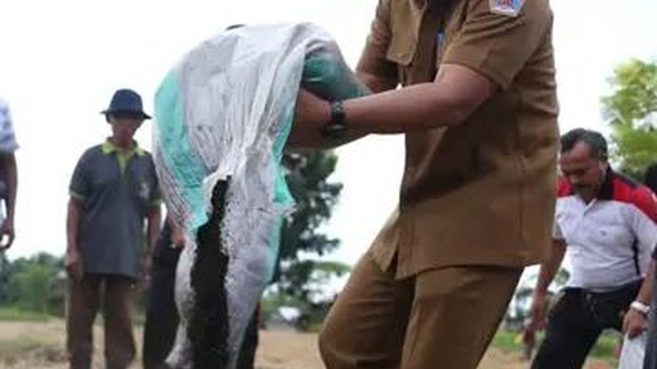 50 Ton Pupuk Organik Hasil Metode Osaki Jepang Dibagikan ke Petani Klungkung Bali