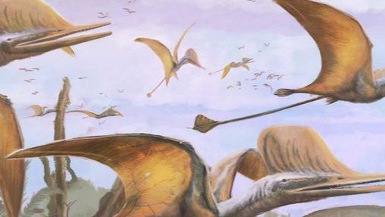 Spesies Baru Pterosaurus Ditemukan, Sayapnya Selebar 1,5 Meter