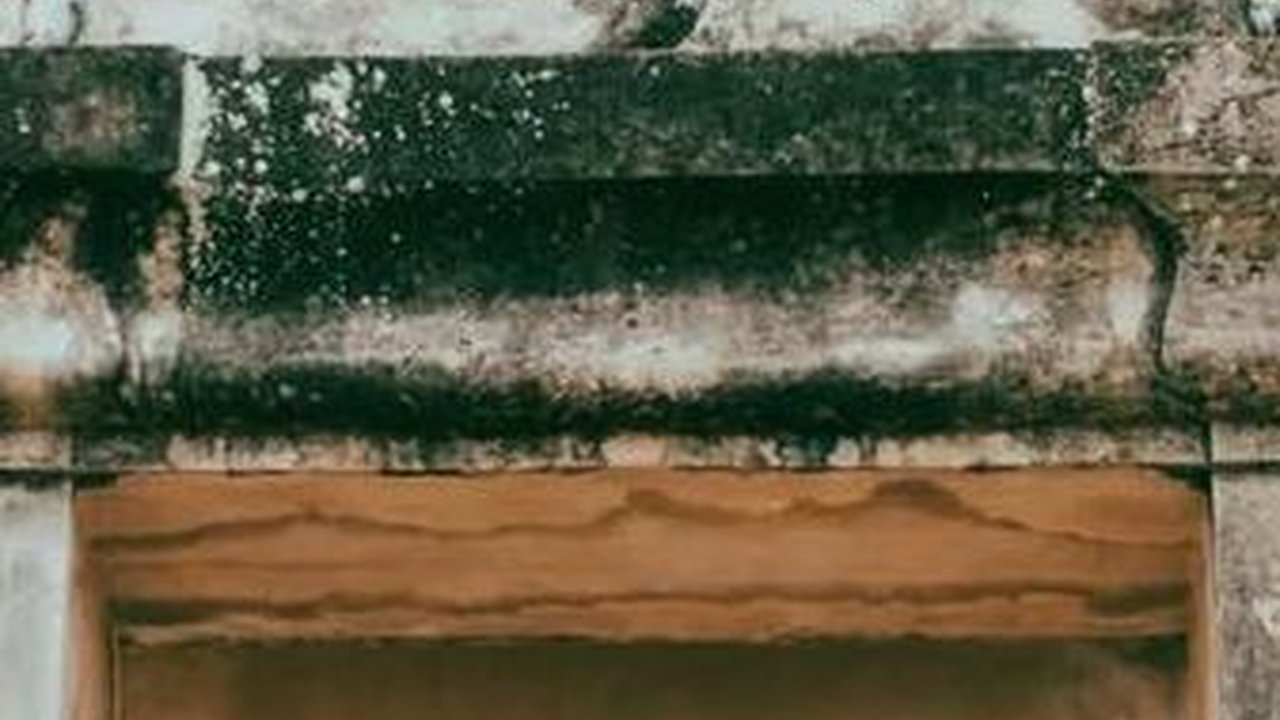 Dikenal Adem Ayem, Begini Perjalanan Cinta Furry Setya dan Dwinda Ratna yang Telah Resmi Bercerai