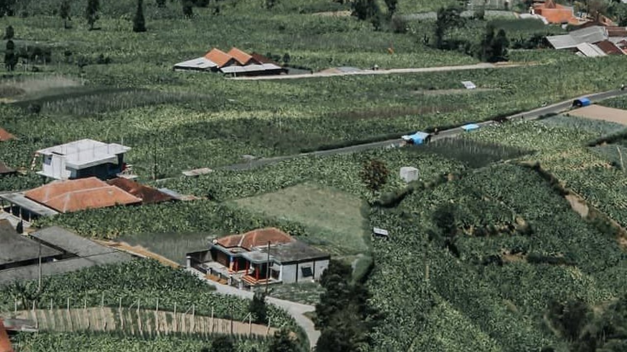 12 Wisata Kampung di Indonesia yang Indah dan Memesona, Wajib Dikunjungi