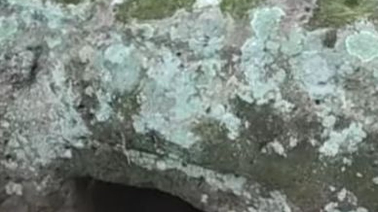 Batu Besar Misterius di Demak Ini Berada di Tengah Ladang Warga, Ini Fakta di Baliknya