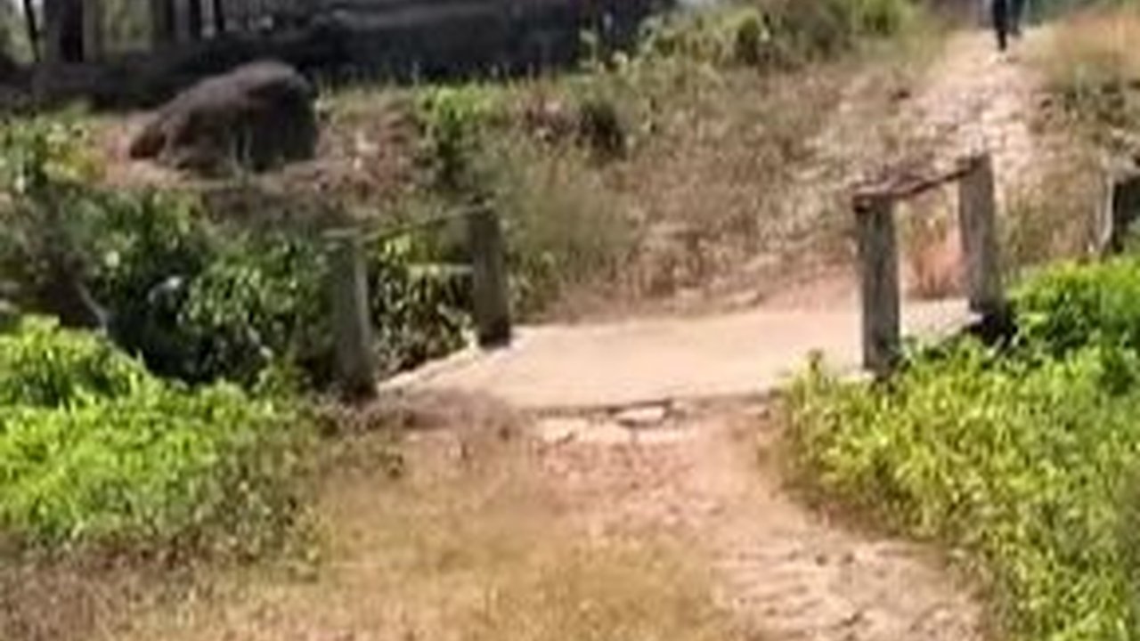 Mengunjungi Kampung Mati Wonotopo Temanggung, Suasananya Bikin Merinding Walau di Siang Hari