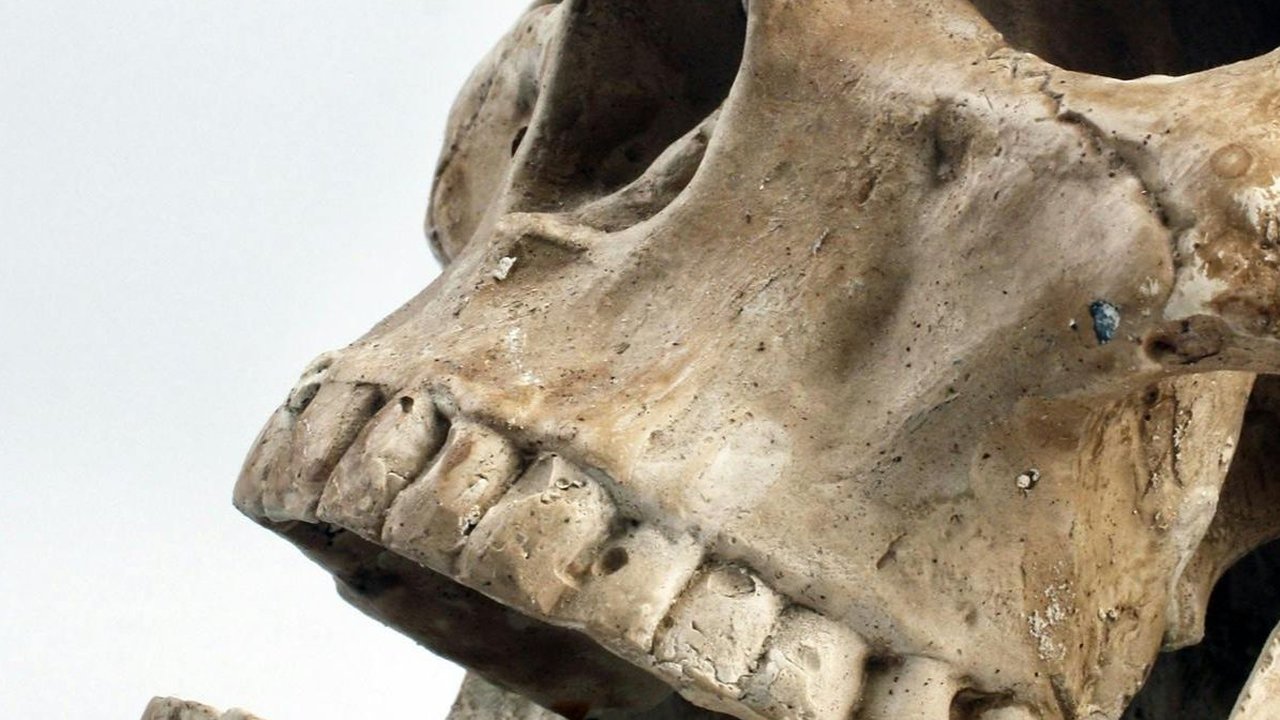 Misteri Genosida Tragis dalam Sejarah Manusia Terdahulu Terkuat, Ini Penyebabnya