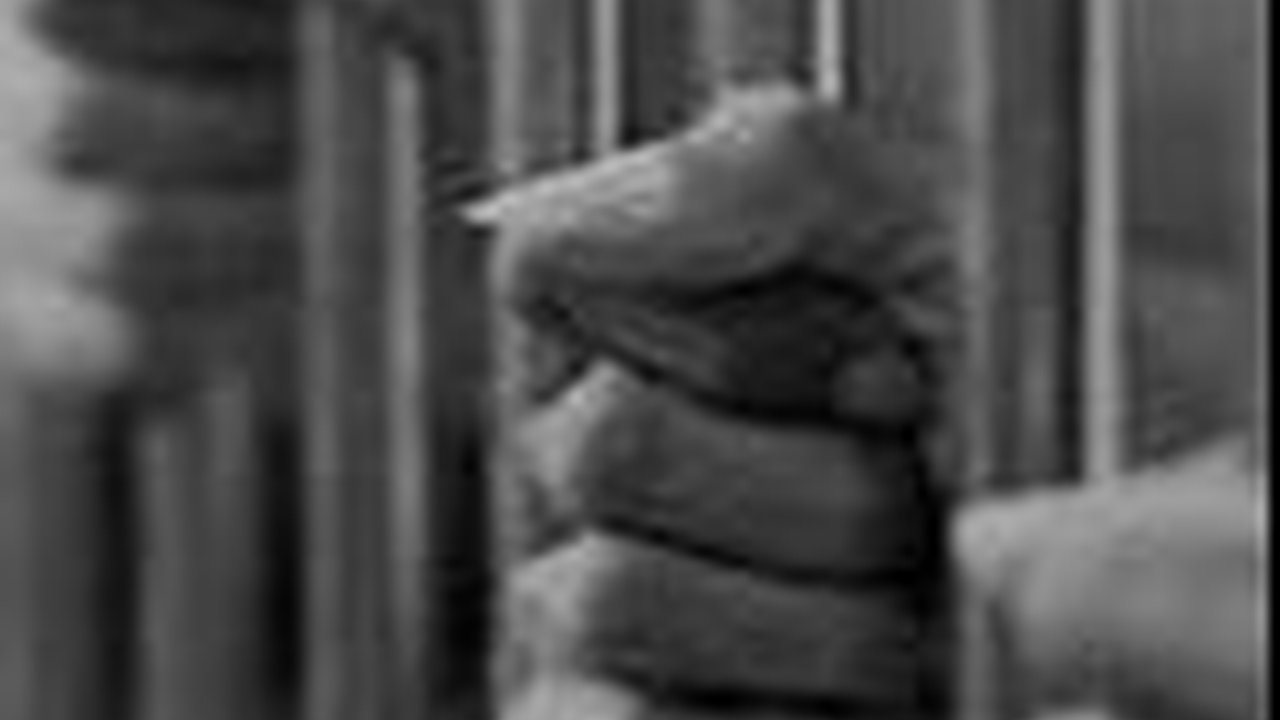 Ribuan Narapidana Hindu Dapat Remisi Nyepi 2024, 6 Orang Langsung Bebas