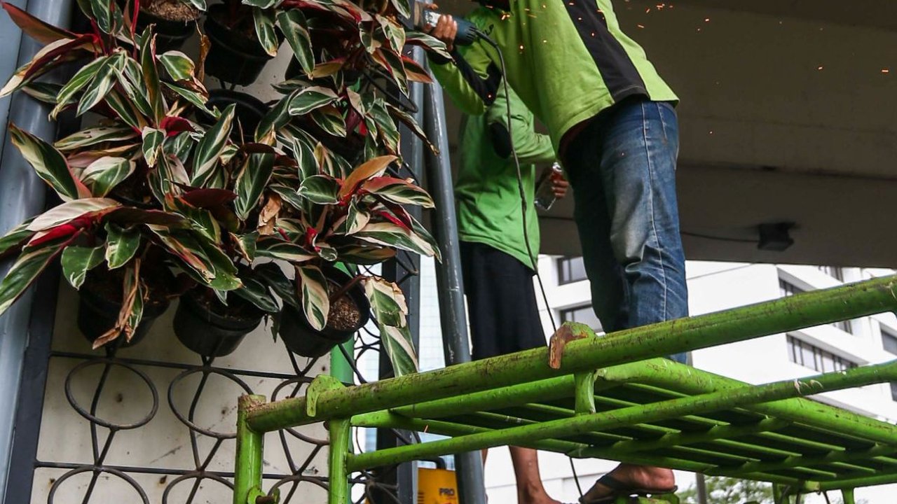 FOTO: Petugas Percantik Taman Vertikal di Kawasan Sudirman Jakarta