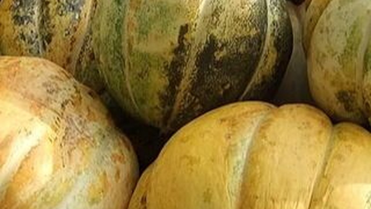 10 Manfaat Luar Biasa Blewah, Buah Kesayangan di Momen Buka Puasa