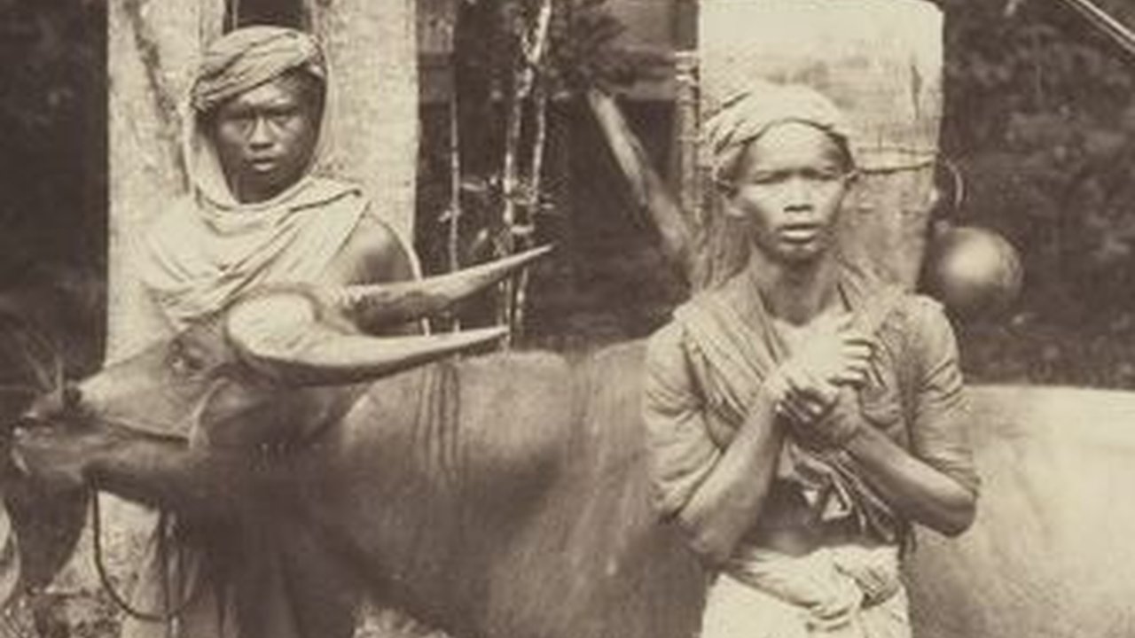 Asal-usul Orang Kincai, Konon Jadi Penghuni Pertama dan Tertua di Pulau Sumatra