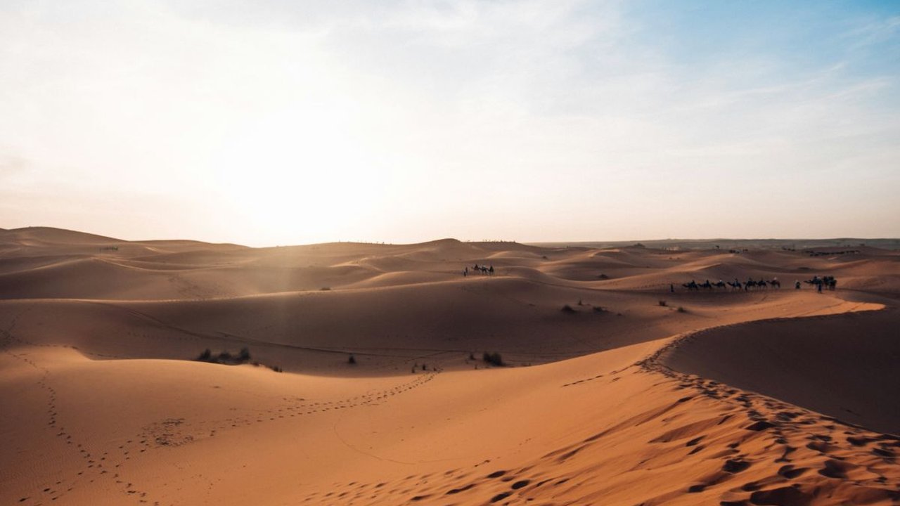 Fakta Gurun Sahara yang Panas, Ternyata Pernah Menjadi Lautan!