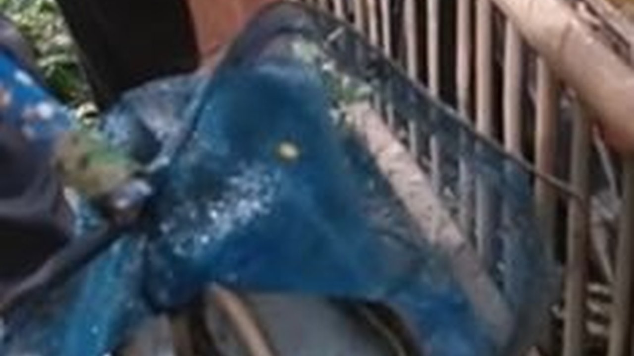 Jatuh Bangun Sering Diremehkan, Pria Ini Kini Sukses Budidaya Belut dan Miliki 200 Kolam