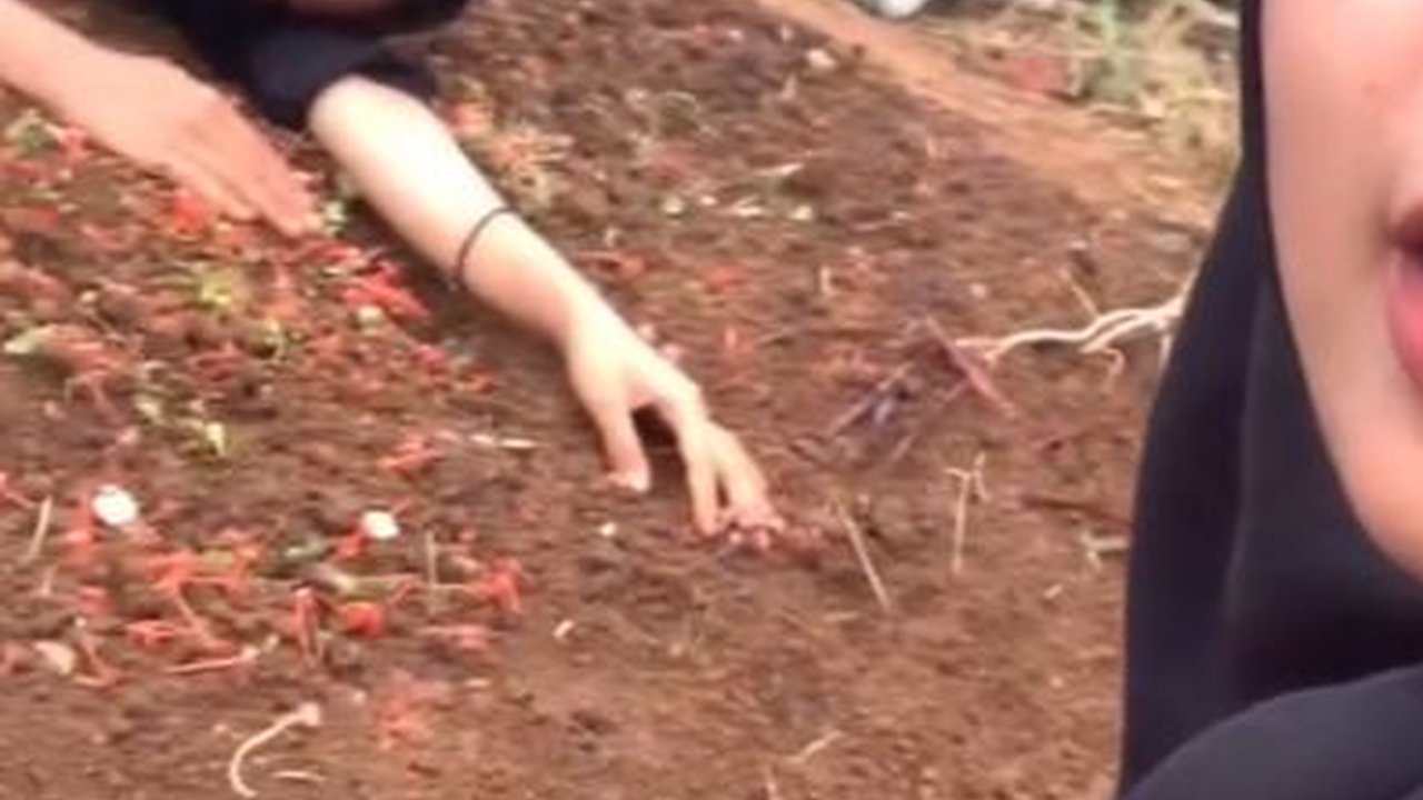 Viral Momen Dua Wanita Ziarah Ke Makam Sahabatnya, Ungkap Kerinduan yang Mendalam