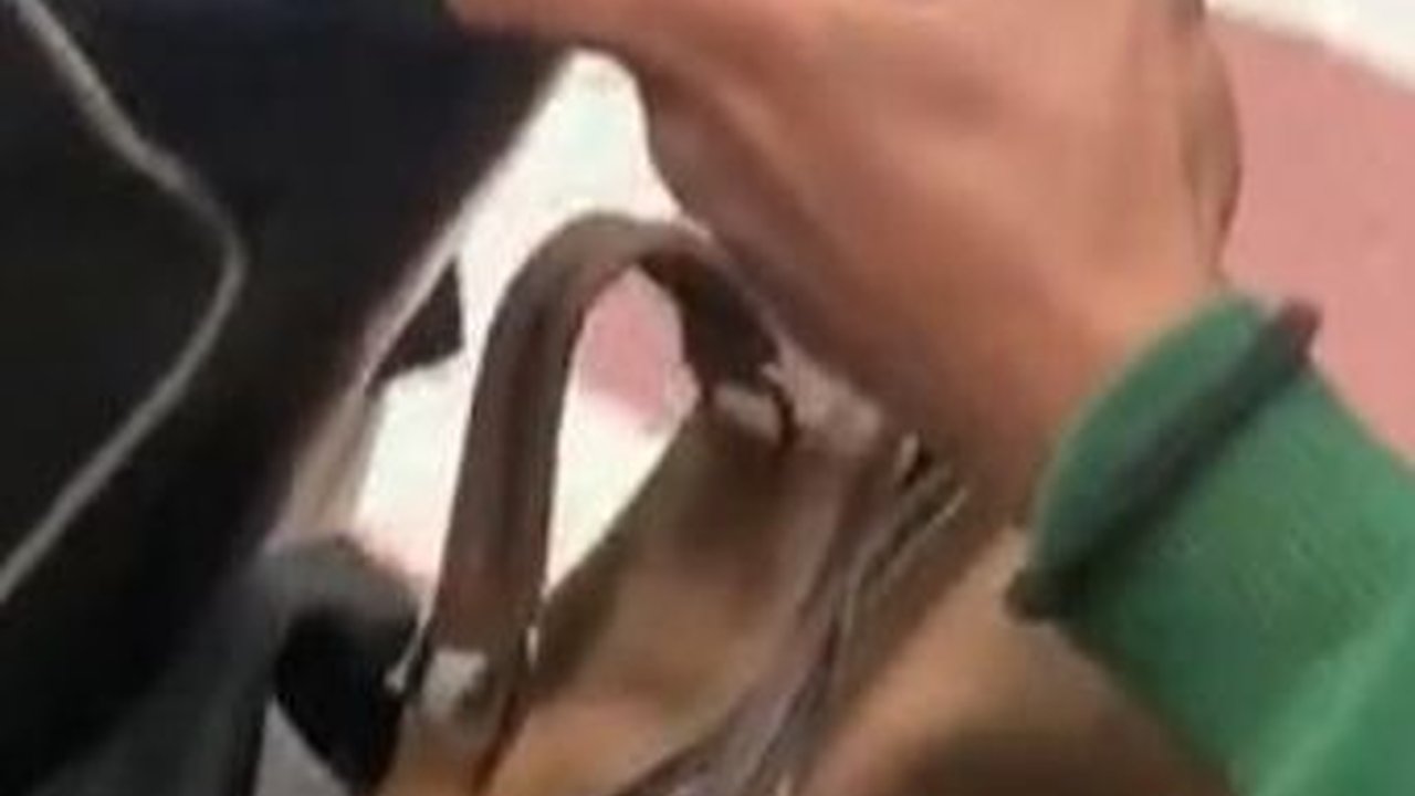 Tak Biasa, Aksi Driver Ojol Bawa Mesin EDC untuk Permudah Pelanggan Bayar Ini Curi Perhatian