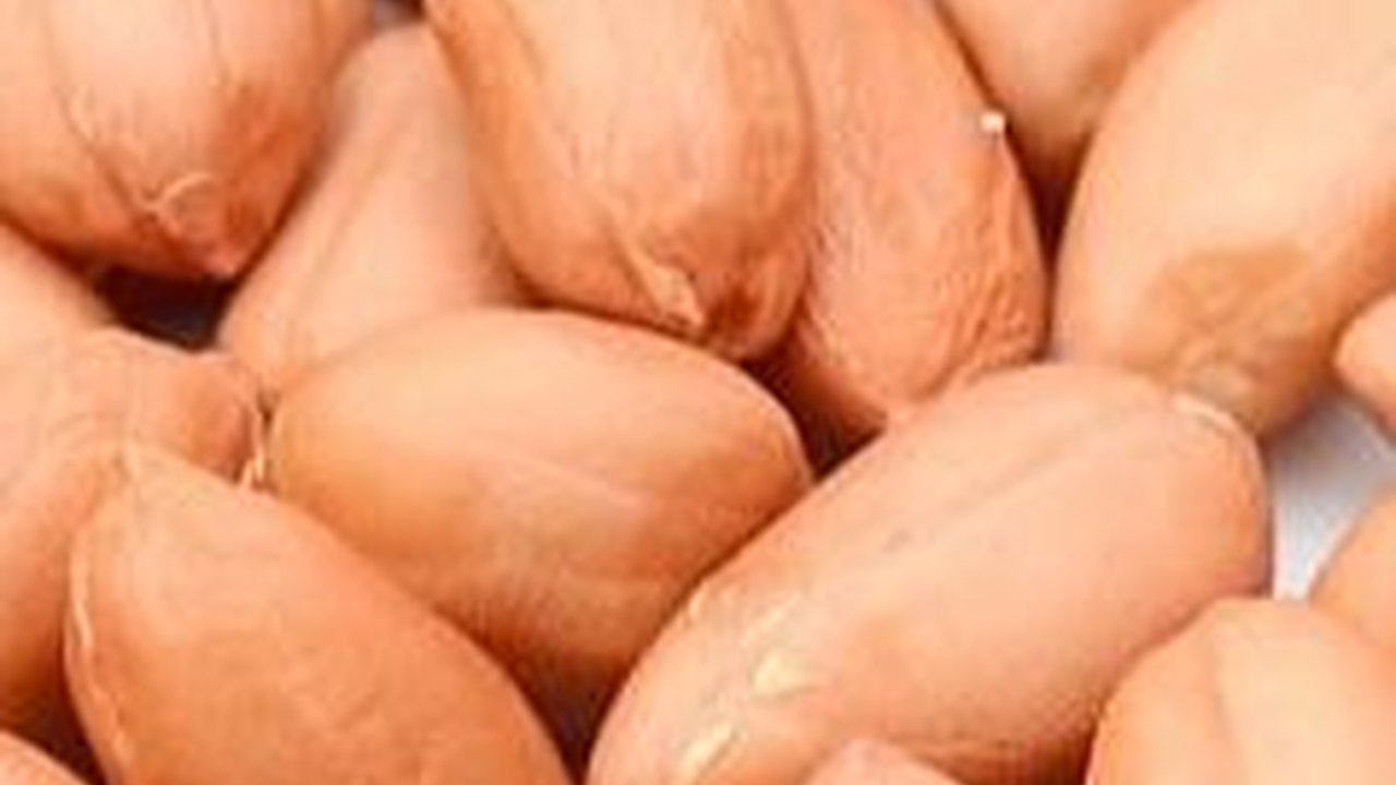 Cara Sederhana Agar Kulit Ari Kacang Tanah Dapat Dikupas Tanpa Direndam Air Panas