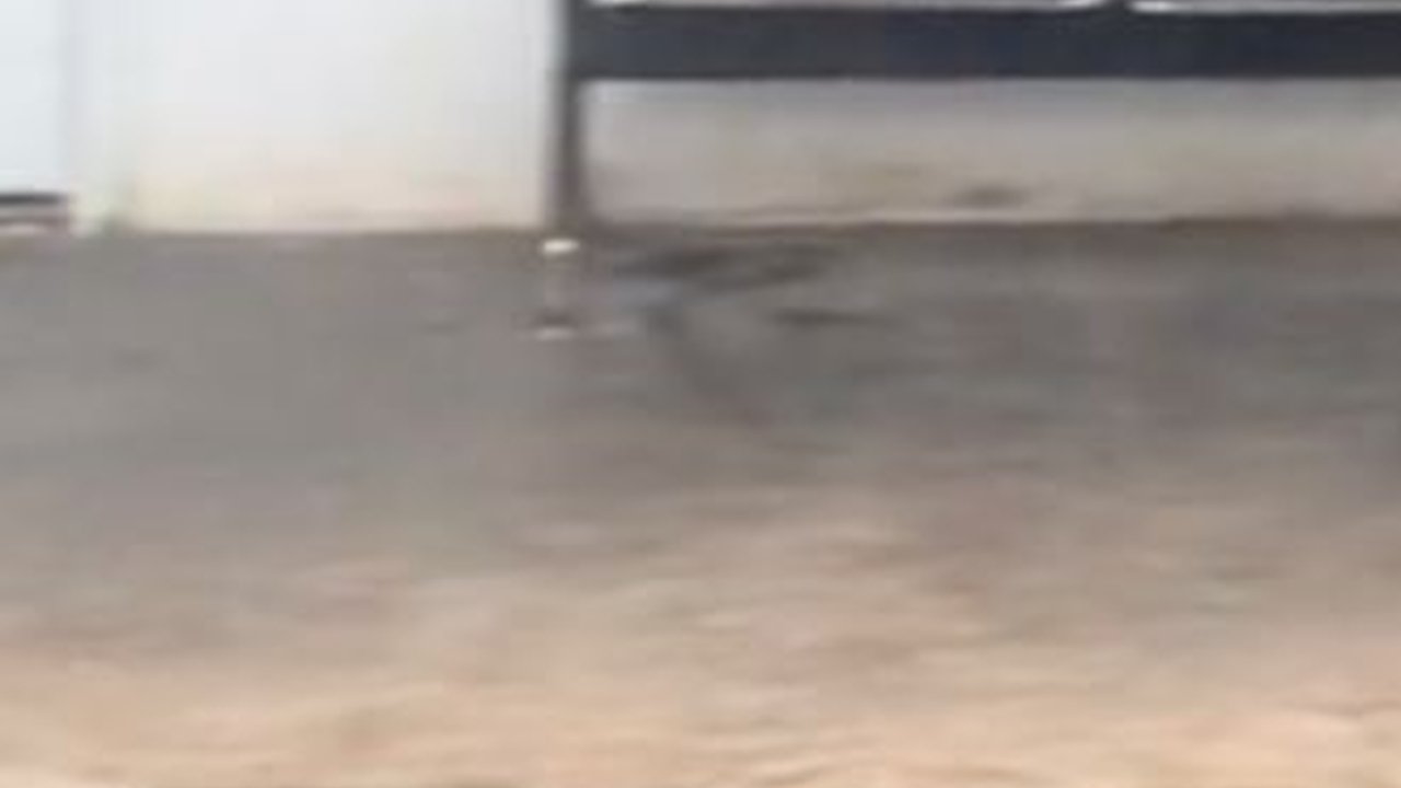 Rumah Ini dari Luar Terlihat Tak Terurus Tapi Dalamnya Sukses Bikin Terpana, Begini Penampakannya