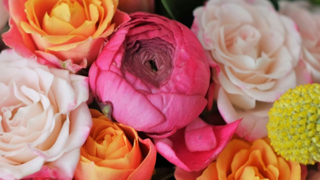 11 Bunga Termahal di Dunia Edisi Terbaru Tahun 2024, Siap-Siap Melongo