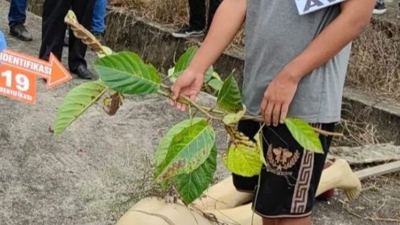 Terungkap, Detik-Detik Remaja di Sambas Bunuh Temannya Gara-Gara Mobile Legends