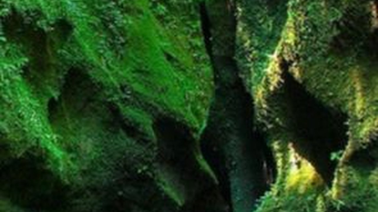 Wisata Pangandaran Populer, Cocok untuk Liburan Singkat
