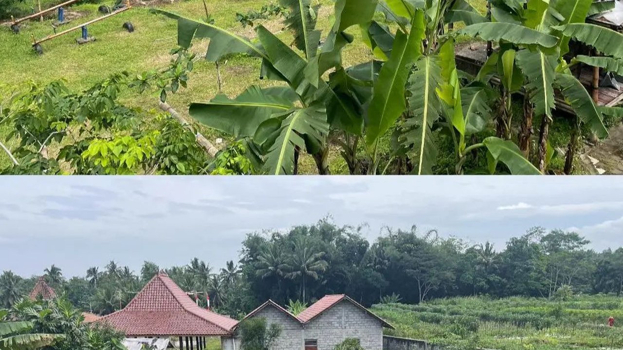 Desa Polengan Magelang Terima Ratusan Bibit Pohon dari BRI Menanam
