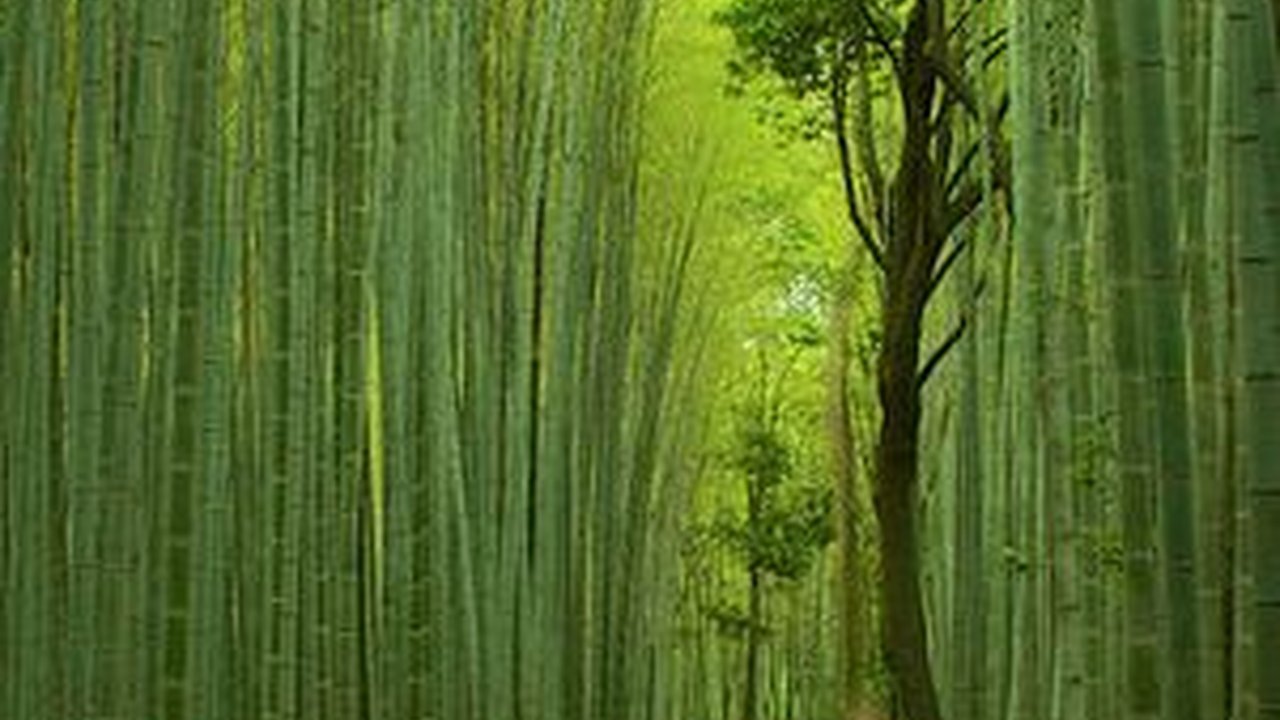 10 Wisata Jepang Paling Rekomendasi, Sajikan Beragam Keindahan Alam & Budaya