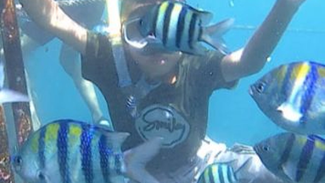 Wisata di Banyuwangi yang Hits dan Terbaru, Cocok untuk Manjakan Mata di Akhir Pekan