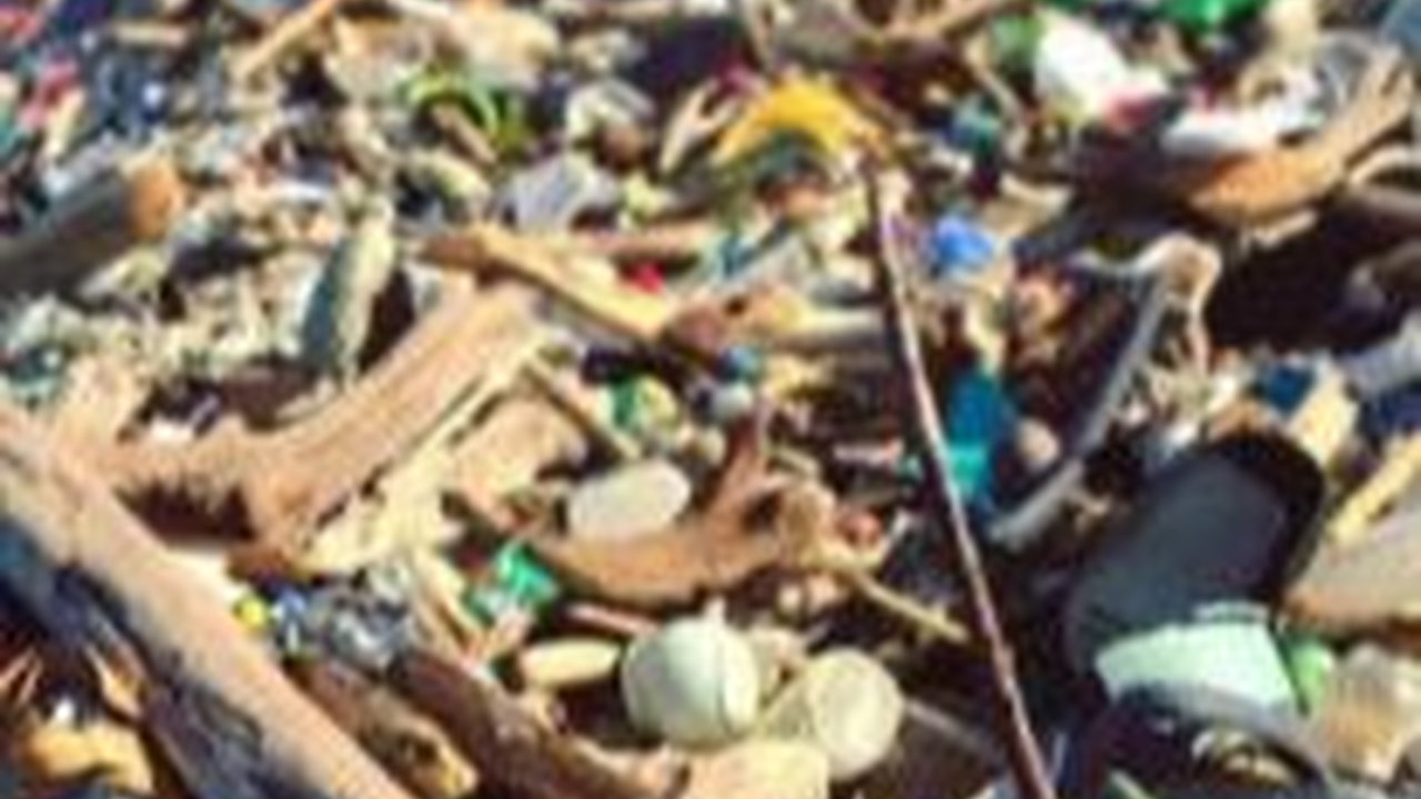 Pantai di Bali Kembali Dipenuhi Sampah, 300 Ton Sudah Diangkut