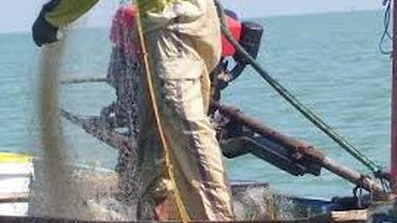 KKP Bakal Lakukan Uji Coba Penangkapan Ikan Terukur, Targetnya Sebelum Lebaran