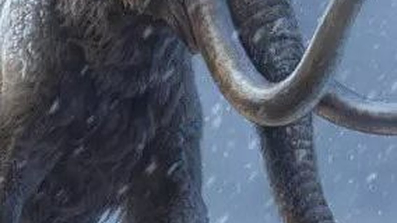 Ilmuwan Ungkap Hewan-Hewan Aneh Ini Pernah Hidup di Indonesia 12.000 Tahun Lalu