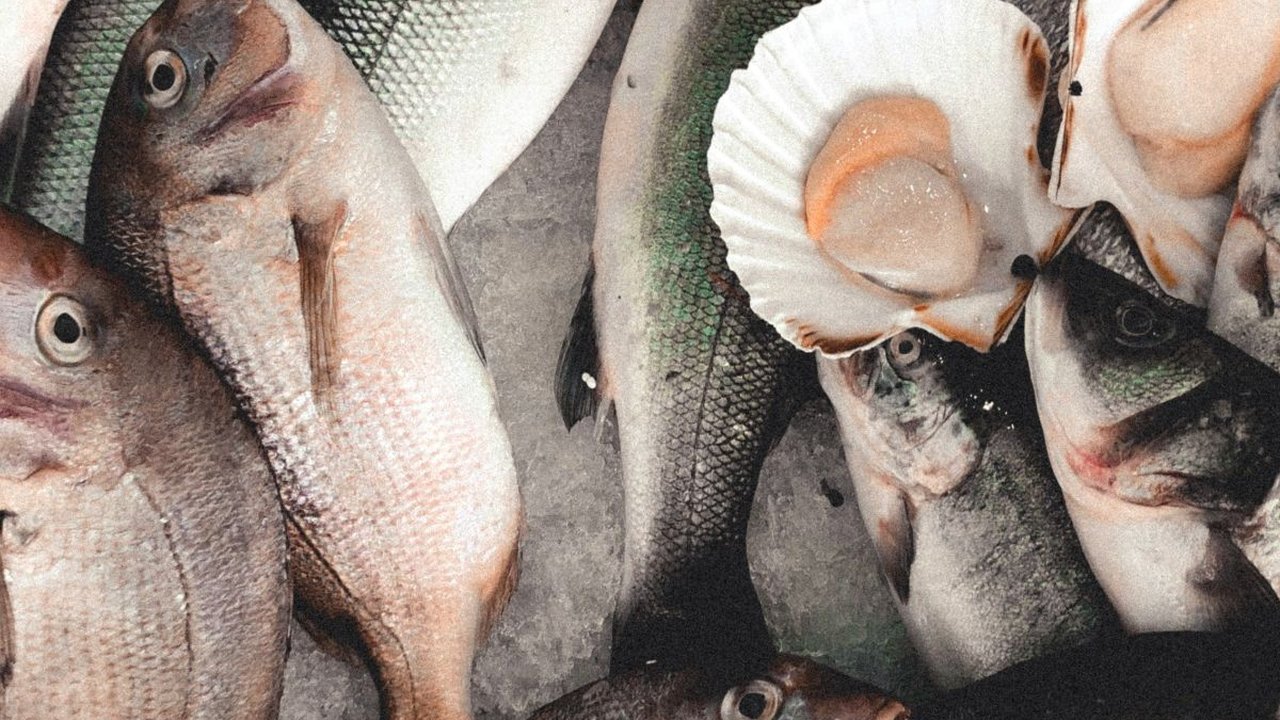 9 Ikan Lokal untuk MPASI, Mudah Dicari dan Efektif Bantu Cerdaskan Otak Anak