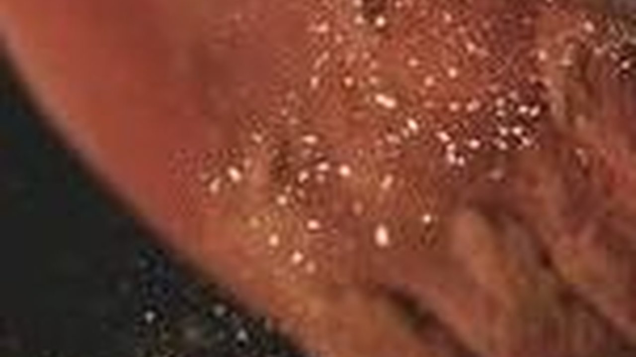 Bacaan Doa Tayamum, Lengkap Beserta Arti dan Tata Caranya