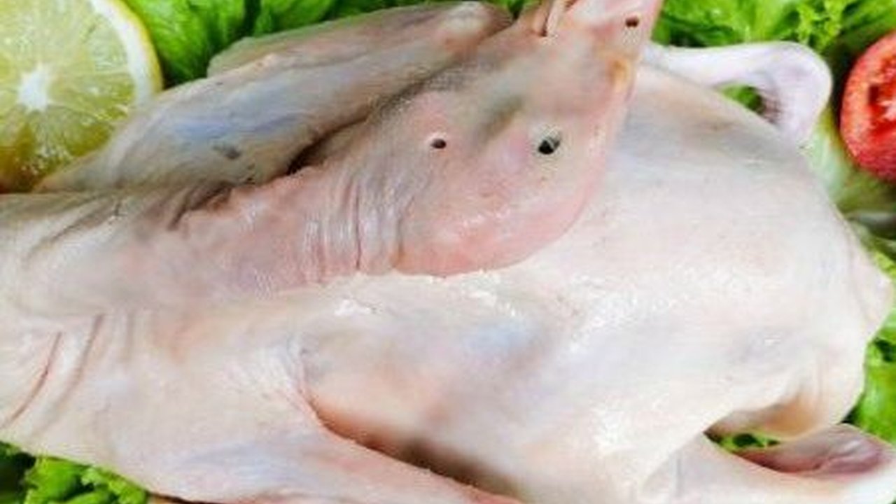 Trik Mudah Membuat Daging Bebek Empuk dengan Bahan dan Teknik Simpel Tapi Hasil Maksimal dan Tidak Amis