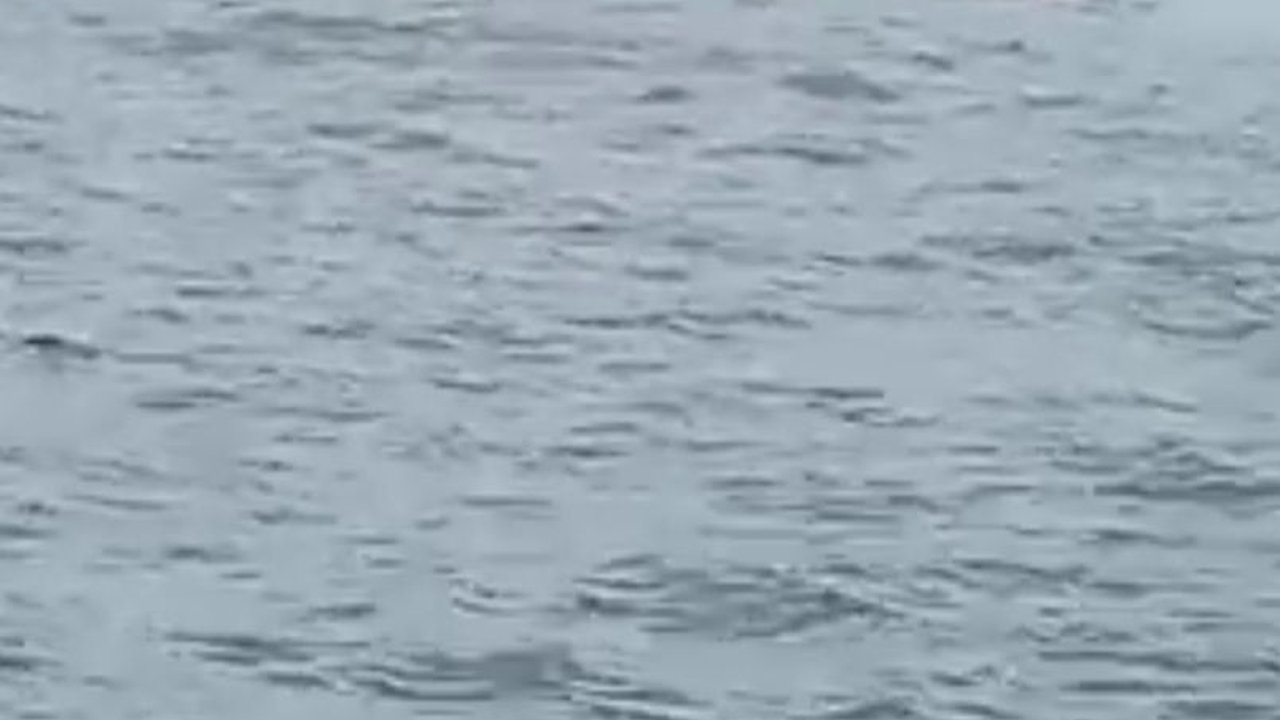 Kapal Pengungsi Rohingya Tenggelam di Laut Aceh Barat, Banyak Perempuan dan Anak Terkatung-katung