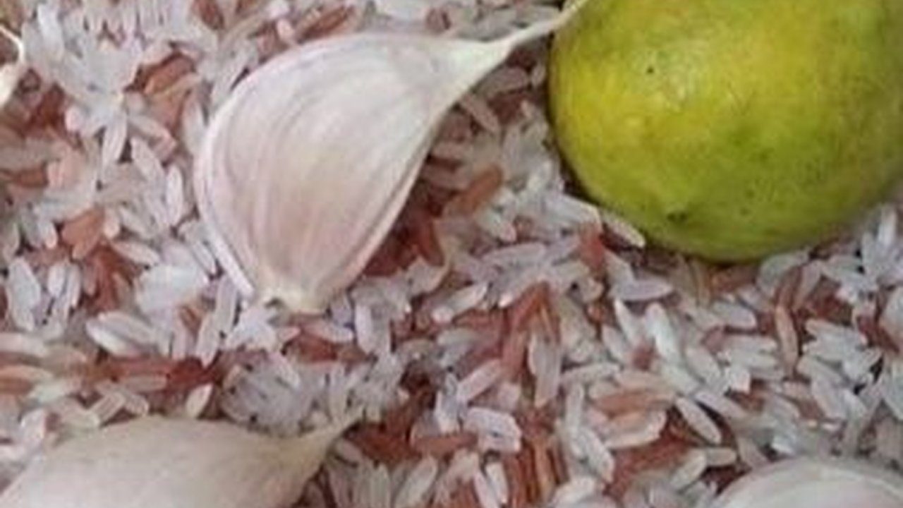 Trik Bersihkan Kutu Beras dengan Efektif, Tanpa Cabai dan Cuka