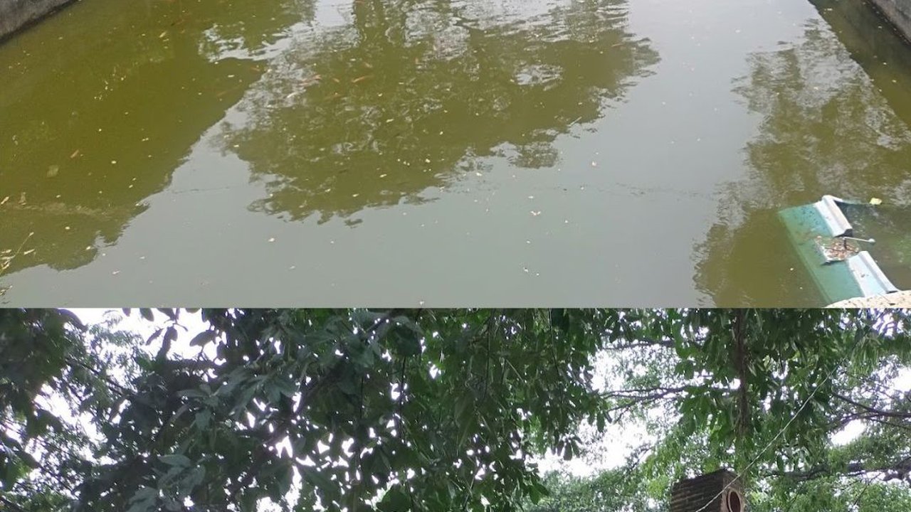 Potret Kolam Berusia 900 Tahun di Ponorogo, Peninggalan Raja yang Kini Jadi Tempat Pemancingan