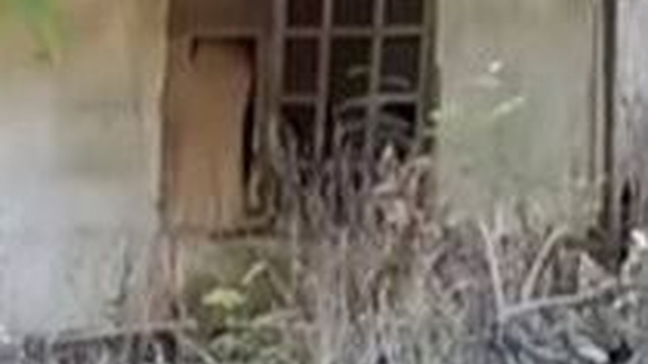 Sekarang Miliki Hunian Mewah Bak Istana, Ini Deretan Potret Rumah Masa Kecil Para Seleb - Ada yang Hampir Ambruk