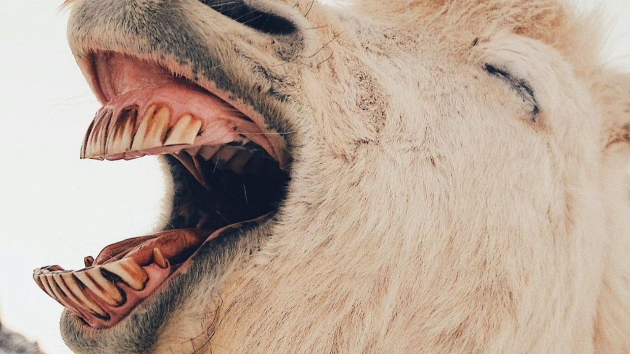 Cerita Lucu Puasa yang Menggelitik, Cocok untuk Hiburan di Bulan Suci