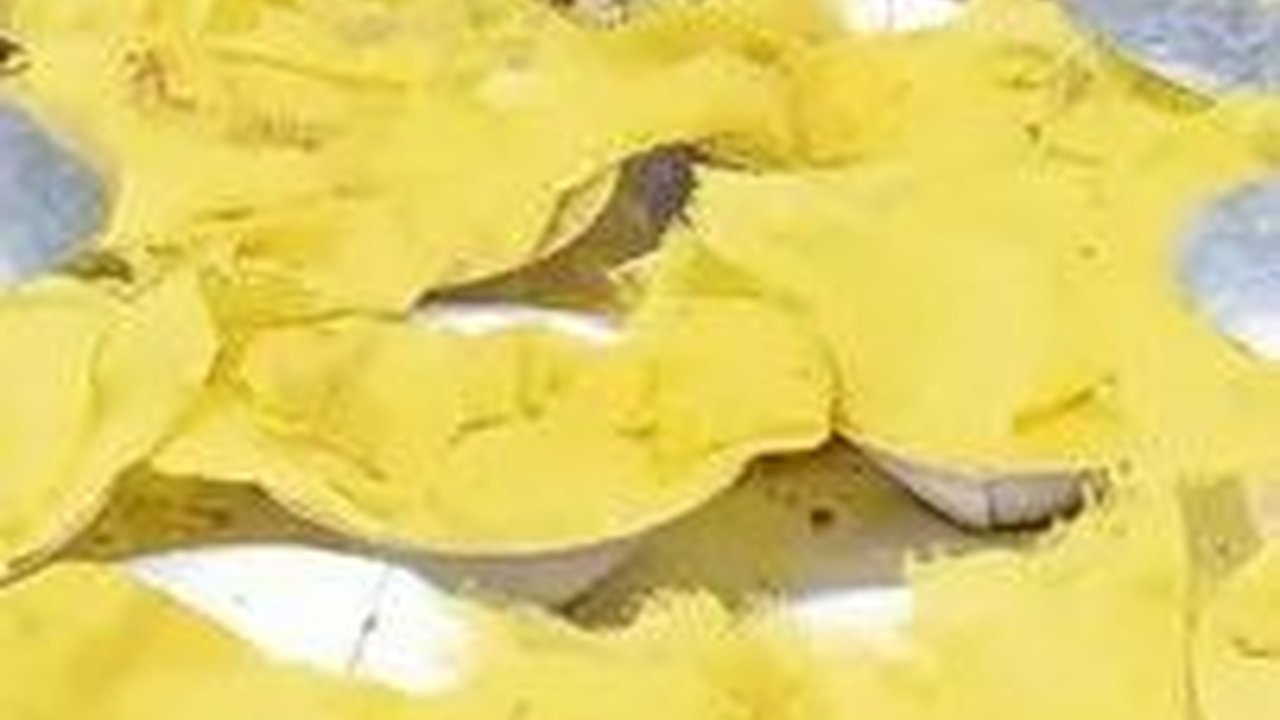 Mencicipi Putu Piring, Makanan Khas Melayu Riau yang Terbuat dari Tepung Beras dan Rempah-Rempah