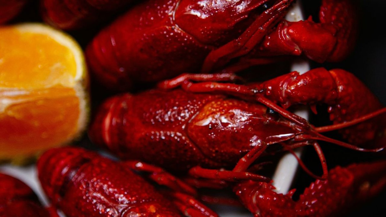 8 Cara Memasak Lobster Aneka Kreasi, Lezat dan Mudah Dipraktikkan