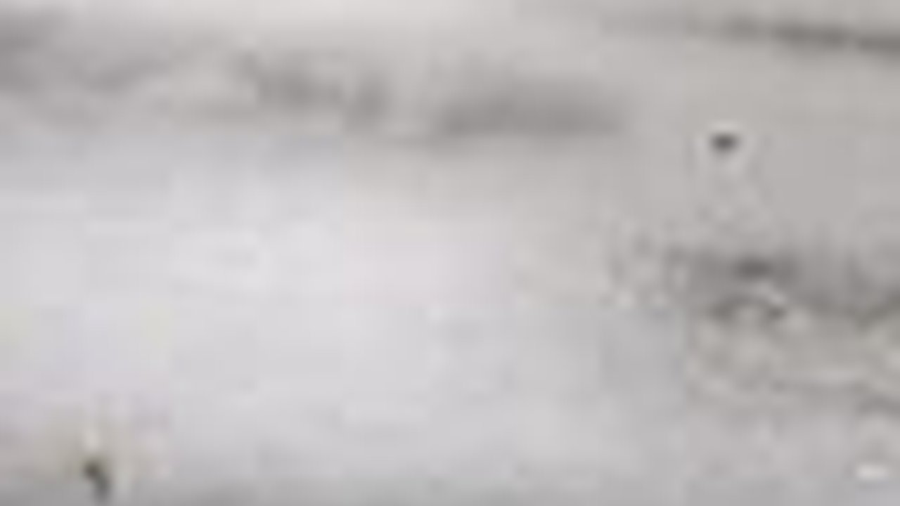 Biawak Ini Bikin Pengguna Jalan Kocar Kacir