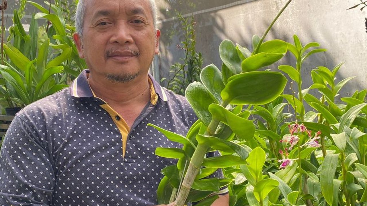 Berawal dari Hobi, Budidaya Anggrek Bikin Fathoni Kian Berseri