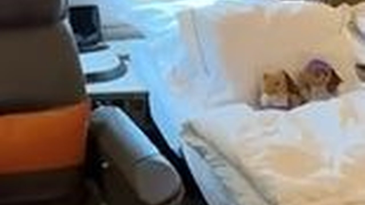 Bikin Melongo, Begitu Mewah dan Elegan Maskapai Penyedia 'First Class' Terbaik di Dunia