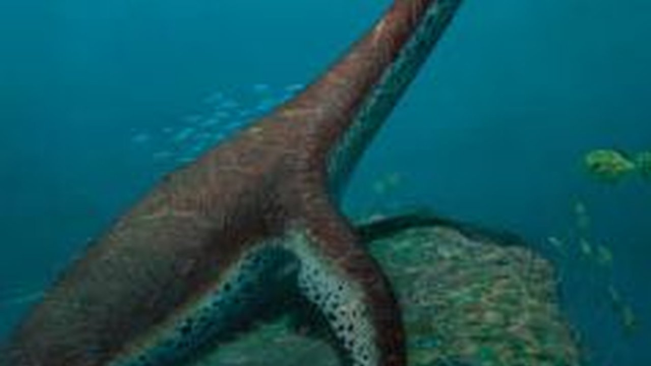 Heboh Penemuan Spesies Baru Plesiosaurus di Jerman, Kini Sedang Digali