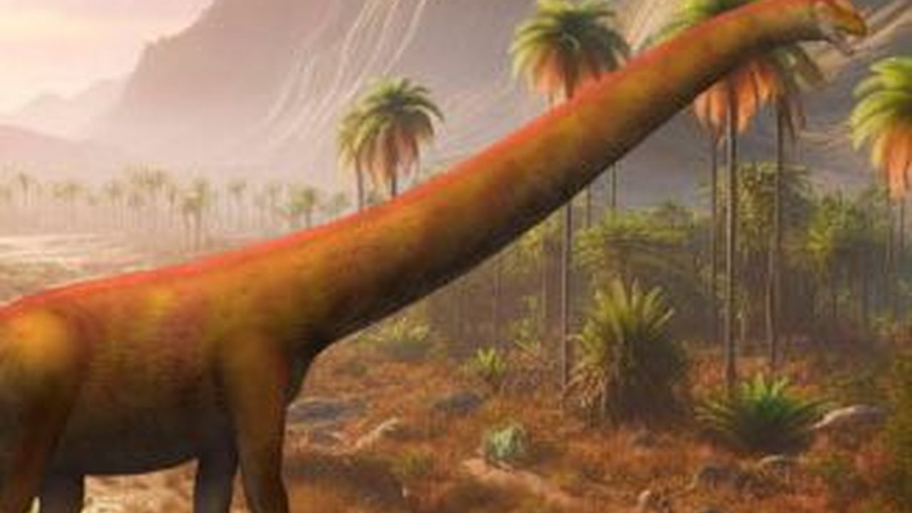 Spesies Baru Titanosaurus Ditemukan di China, Hidup di Zaman Kapur