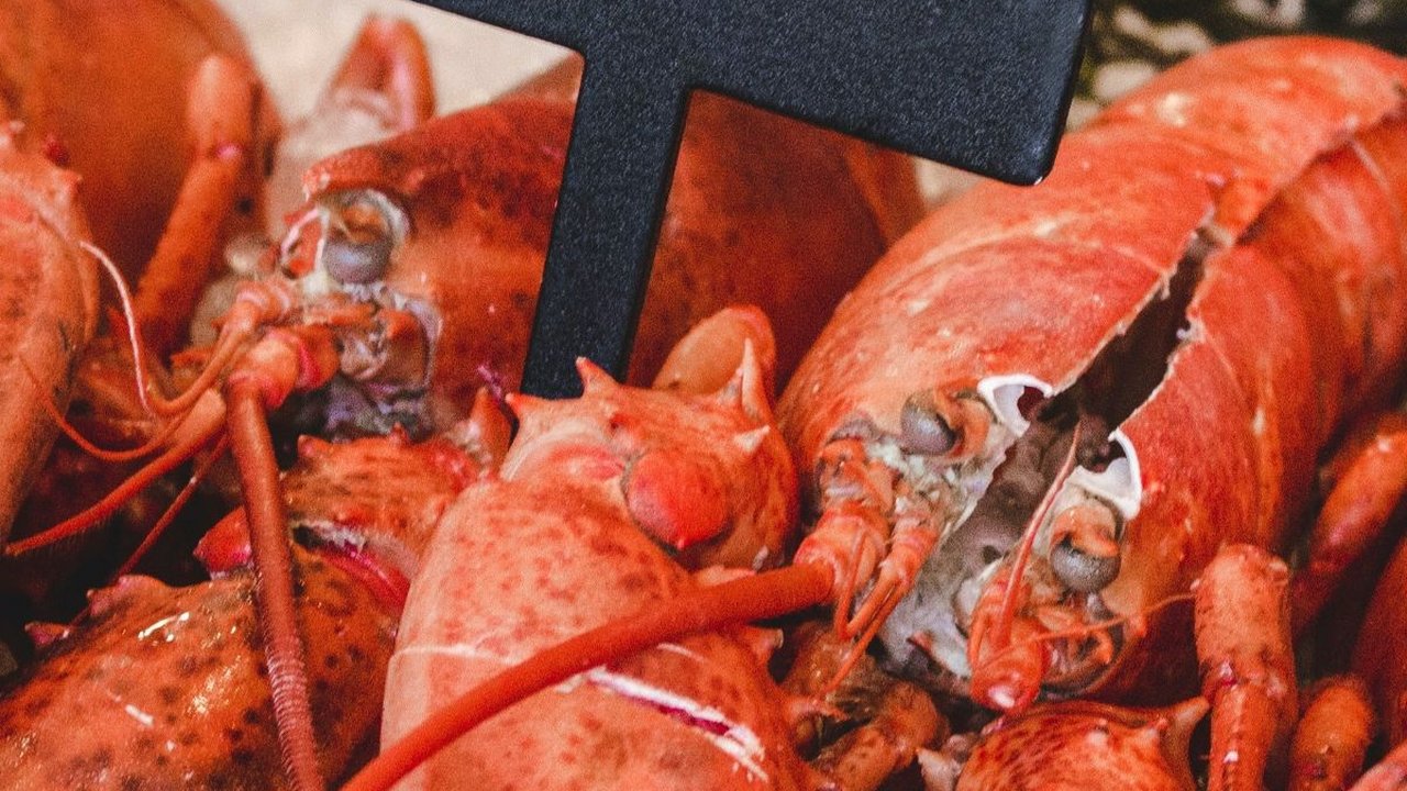 6 Gejala Alergi Seafood dan Cara Mengatasinya, Penting Diketahui