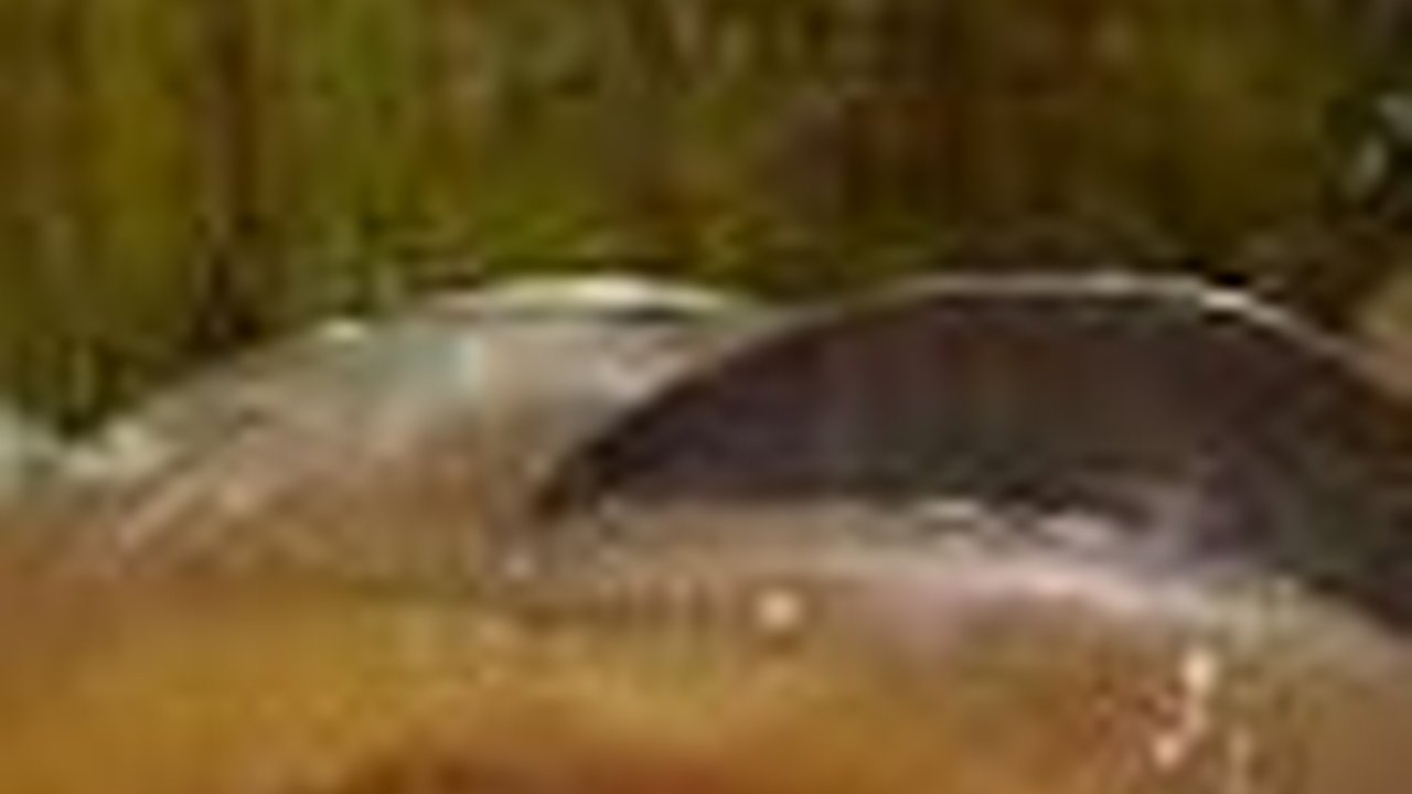 Mencicipi Manisnya Kue Bongko, Menu Takjil Andalan Masyarakat Minang yang Sudah Mulai Terlupakan