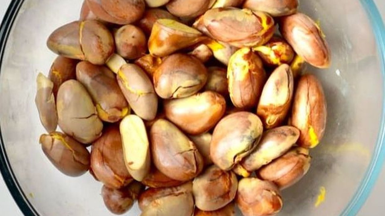 Sering Dibuang, Biji Nangka Ternyata Efektif untuk Tangkal Kolesterol Jahat