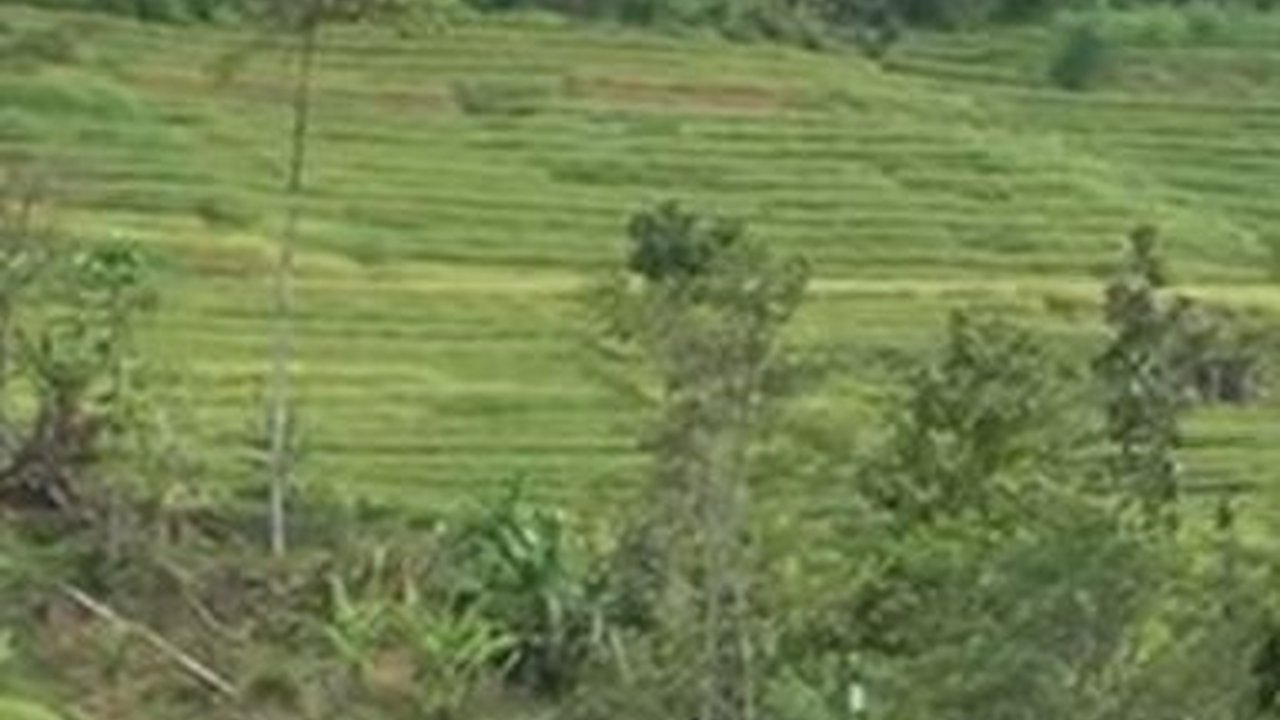 Kisah Desa Para Pengembara di Wonogiri, Dulunya Jadi Tempat Bertapa Raden Mas Said