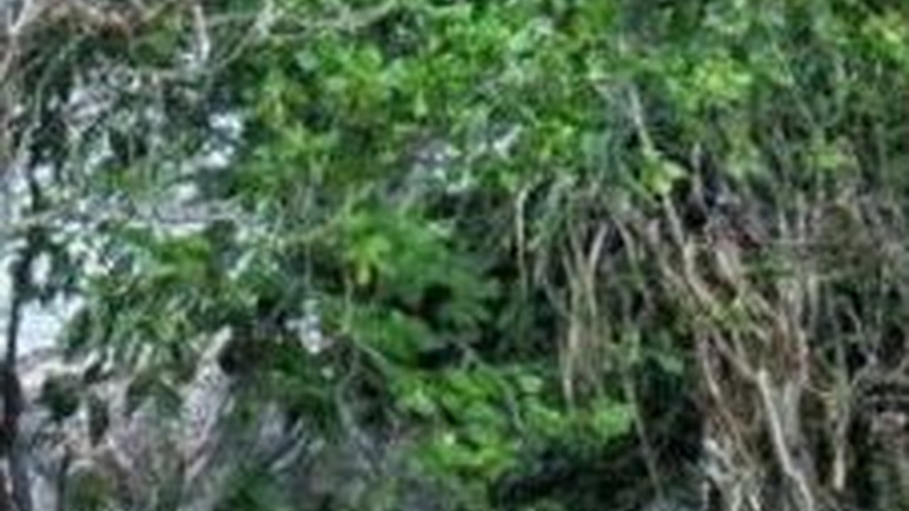 10 Wisata Jambi yang Indah dan Menakjubkan, Wajib Dikunjungi